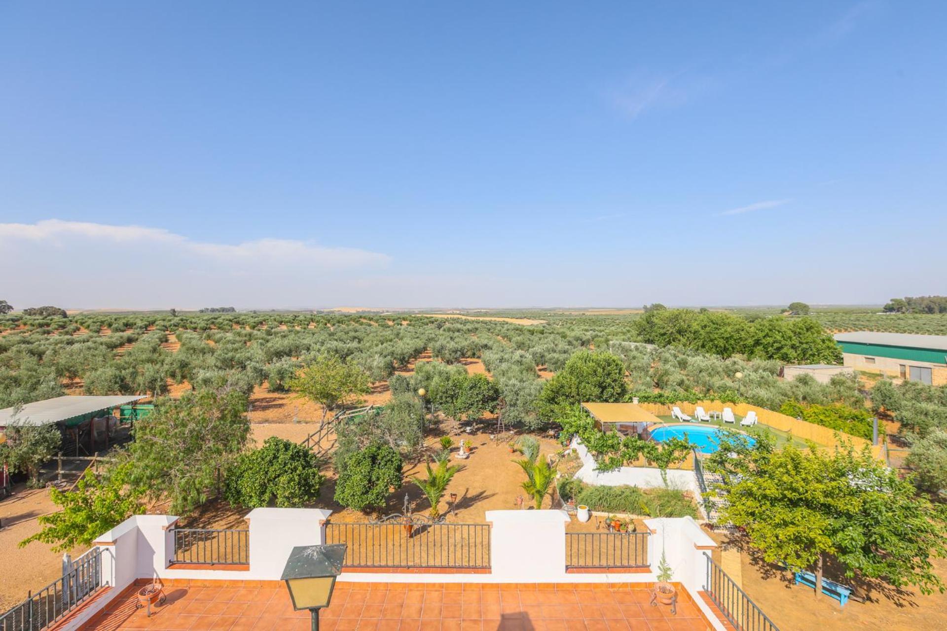 Casa Rural Los Miradores Marchena  Esterno foto