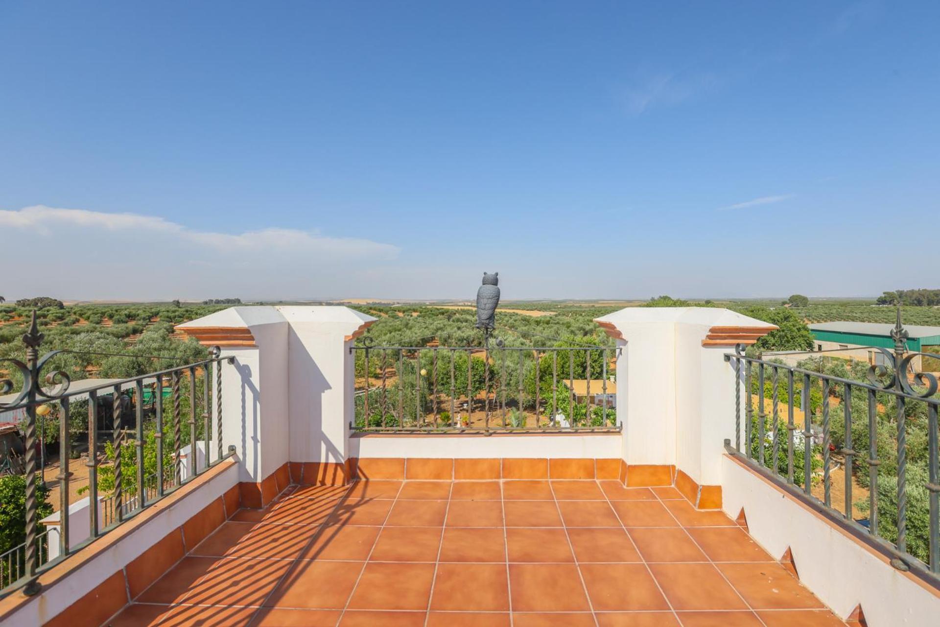 Casa Rural Los Miradores Marchena  Esterno foto