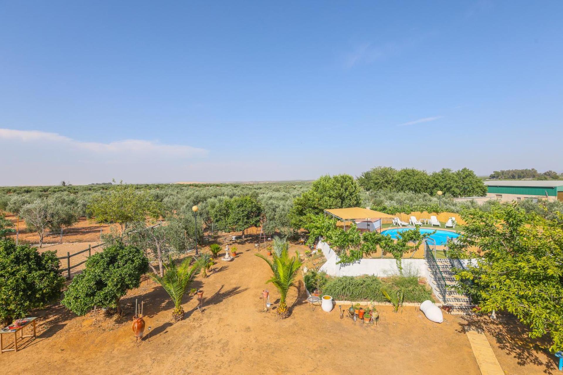 Casa Rural Los Miradores Marchena  Esterno foto