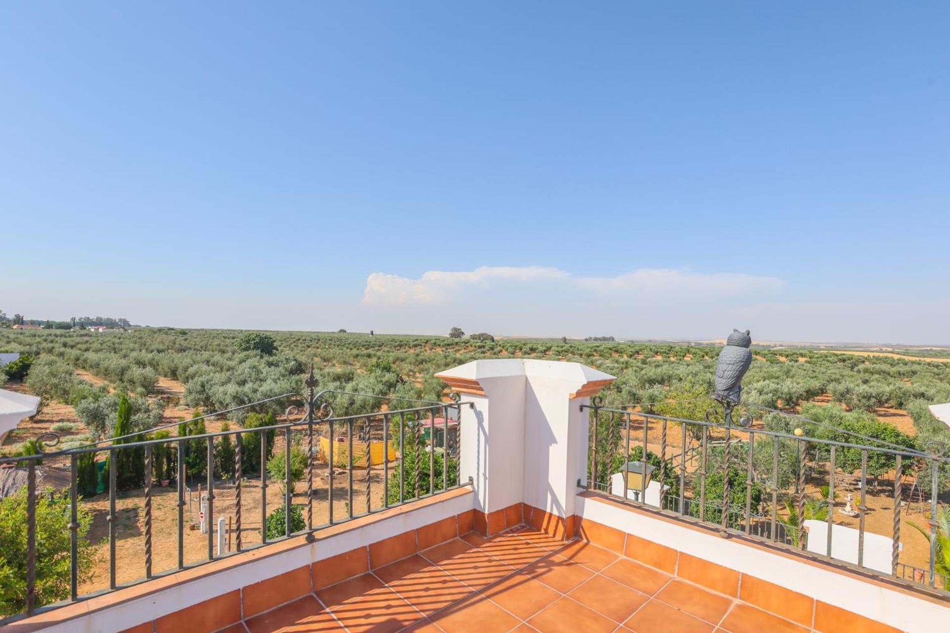 Casa Rural Los Miradores Marchena  Esterno foto