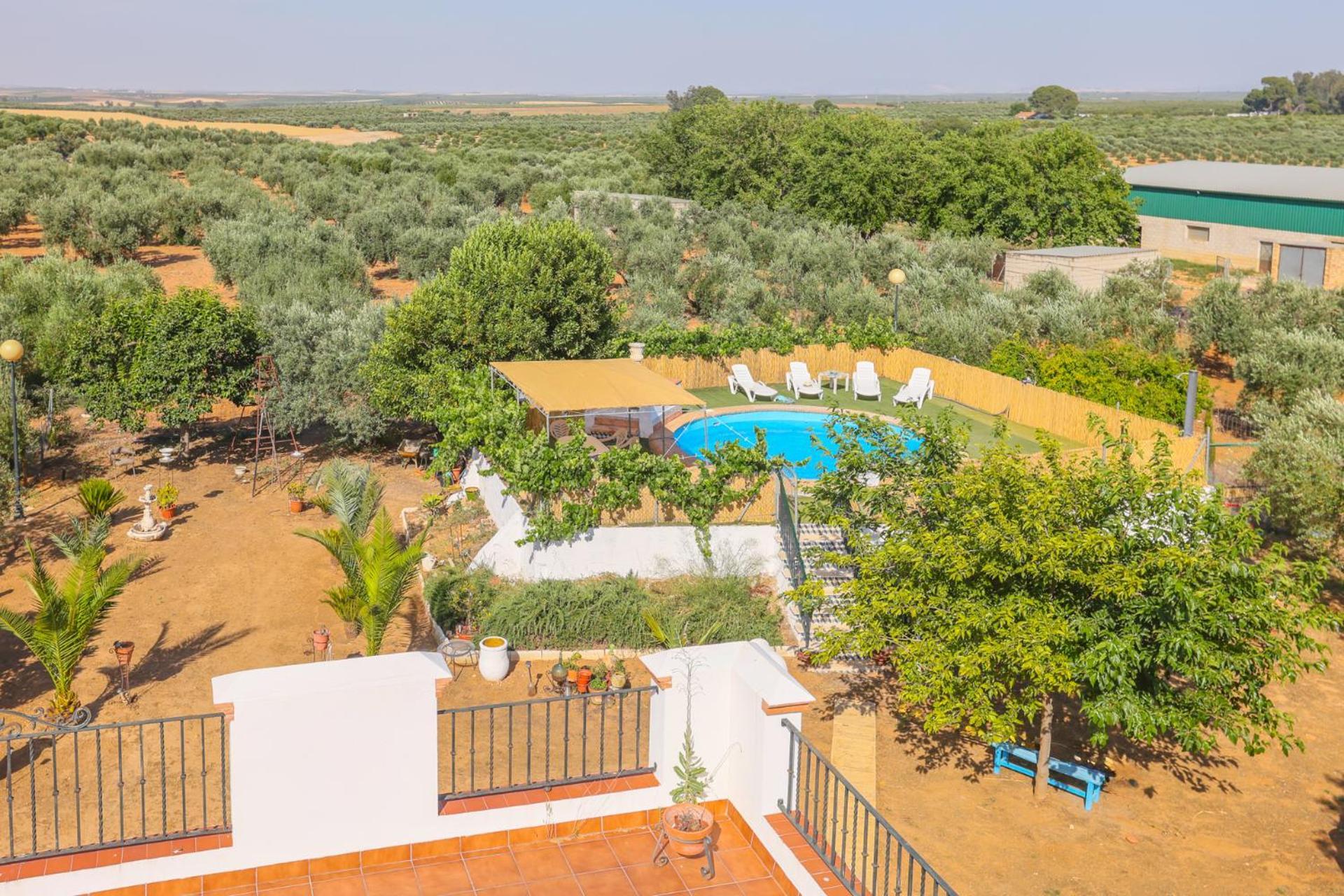 Casa Rural Los Miradores Marchena  Esterno foto